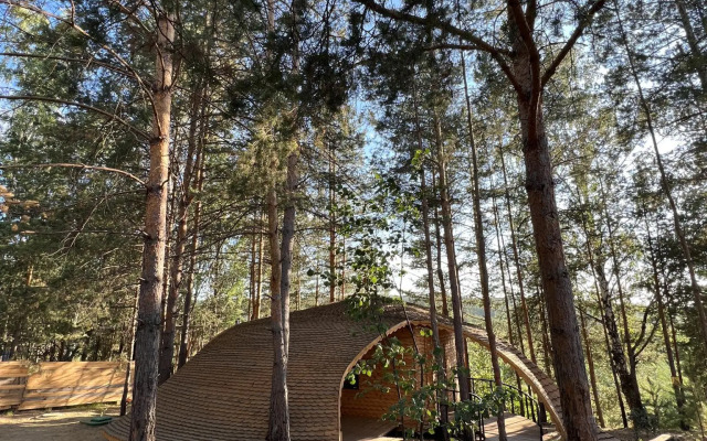 Отель Сорока