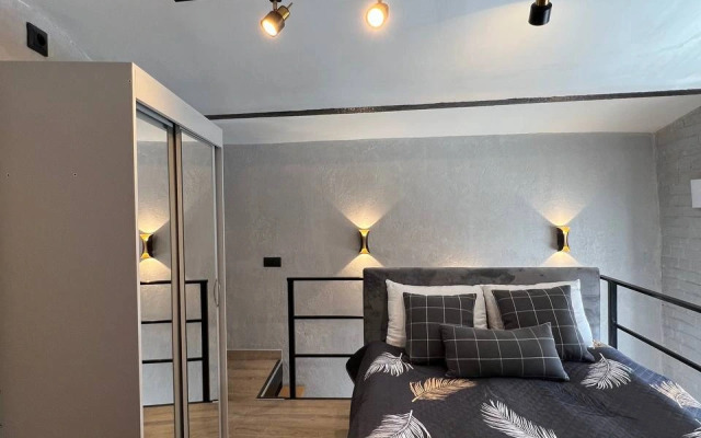 Apartamenty Uyutnaya studiya Grey Cat u Naberezhnoj reki Yauzy