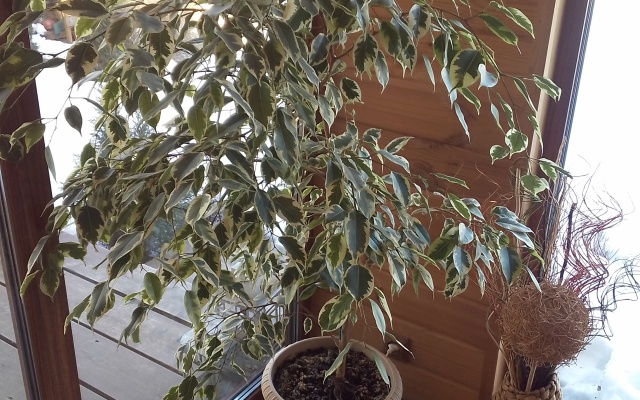 Tihoe Schaste Guest House