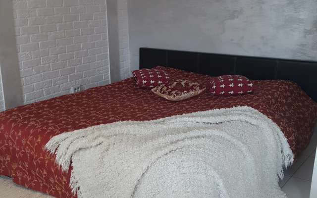Uyutnaya Studiya V Tsentre Goroda Flat