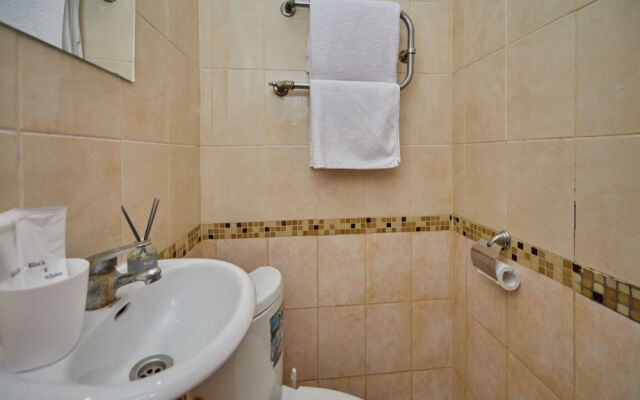 V Tsentre Goroda Flat
