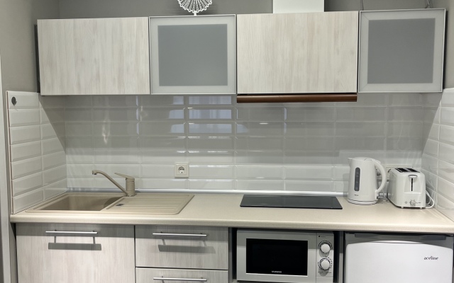"Klassika" Studio Flat