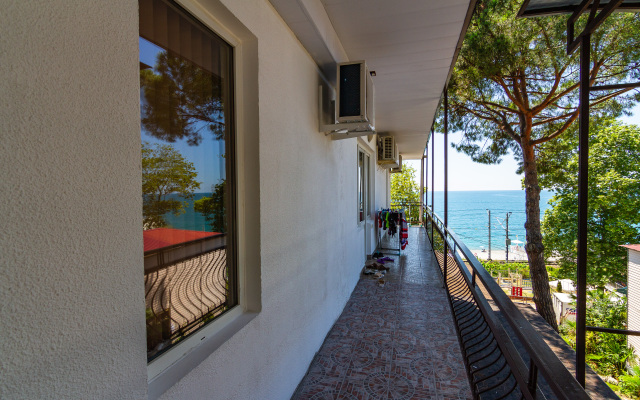Zhasmin Guest House