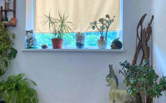 Apartamenty Kazachok