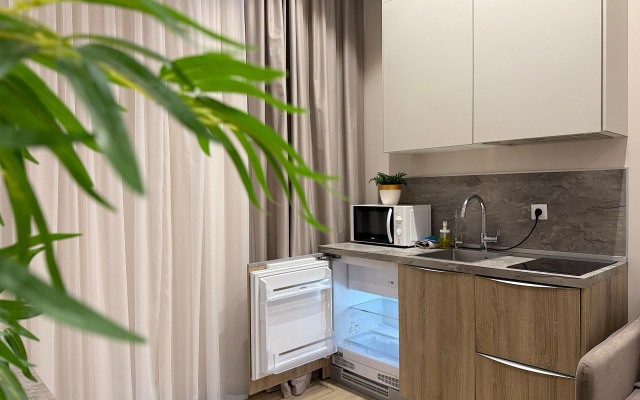 InSochi v samom centre Sochi na Navaginskoj N367 Apartments