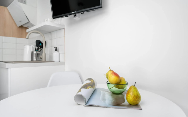 Апартаменты Welcome Home Мансарда на Невском 106