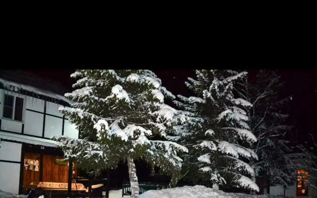 Guest house Gostevoy Dom