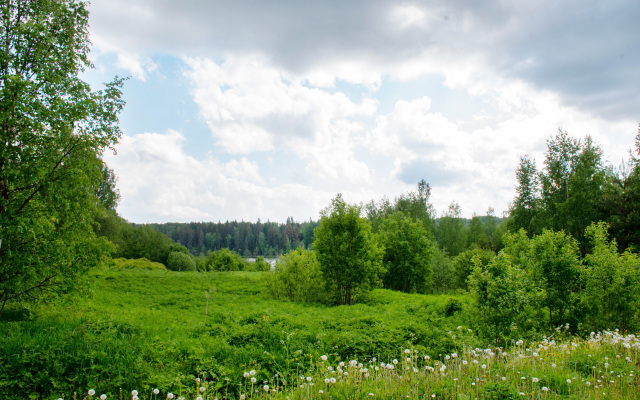 Novgorodskaya Derevnya Cottage