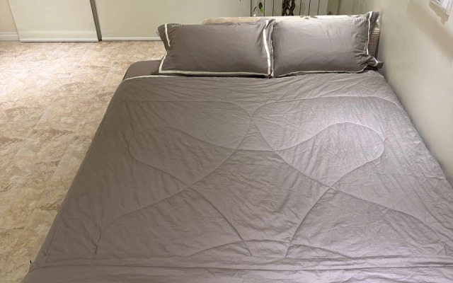 Апартаменты  Апарт-студия в Sky Skolkovo