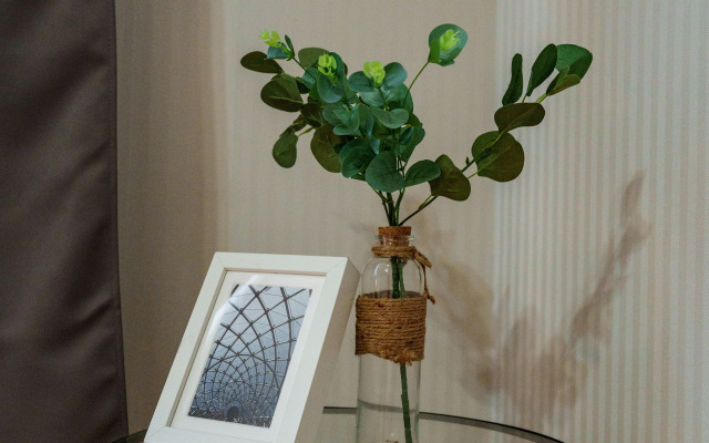 Квартира двухкомнатная Апарт-Отелика в Шаговой Доступности к Парку Галицкого