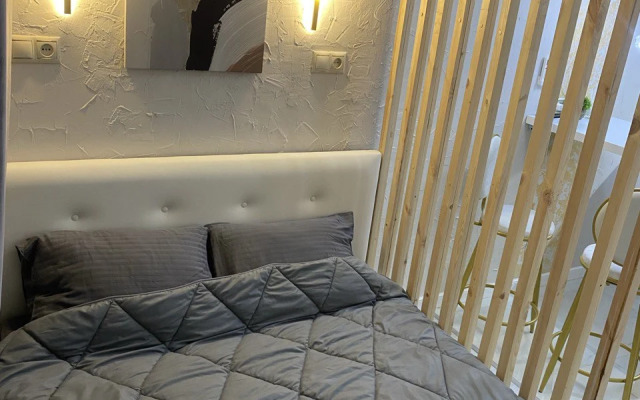 Апартаменты Дизайнерская студия