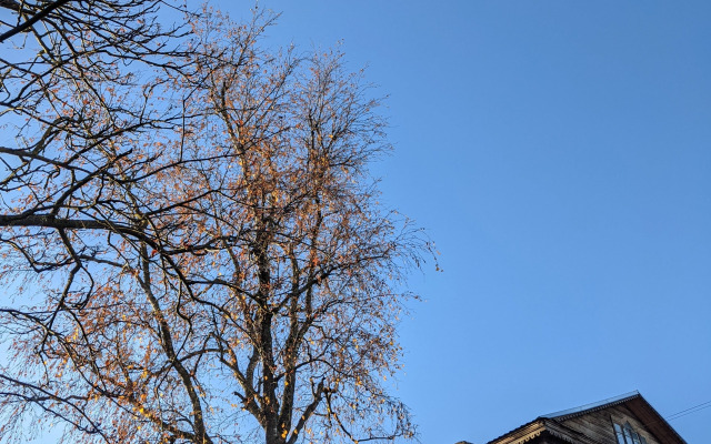 Квартира Двухкомнатная Купеческий Дом Конца XIX Века