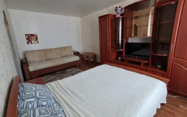 Апартаменты Уютная однокомнатная квартира