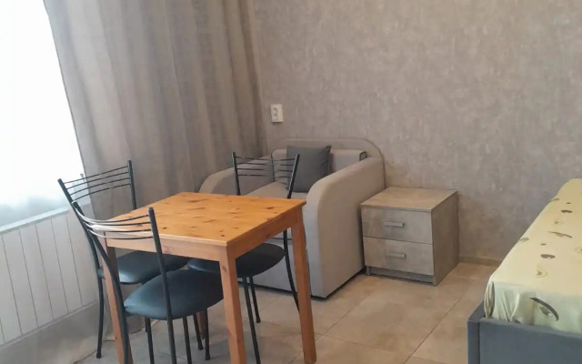 Studiya U Aeroporta Flat