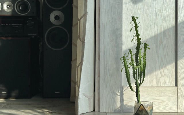 Квартира видовая с камином