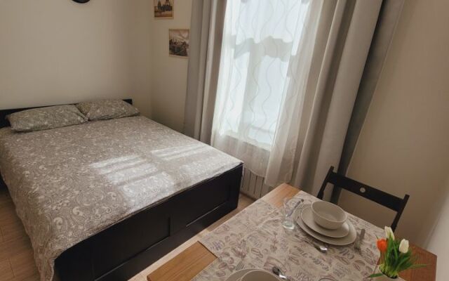 Квартира - студия в иcтoричeскoм цeнтре Санкт-Пeтеpбургa (1)