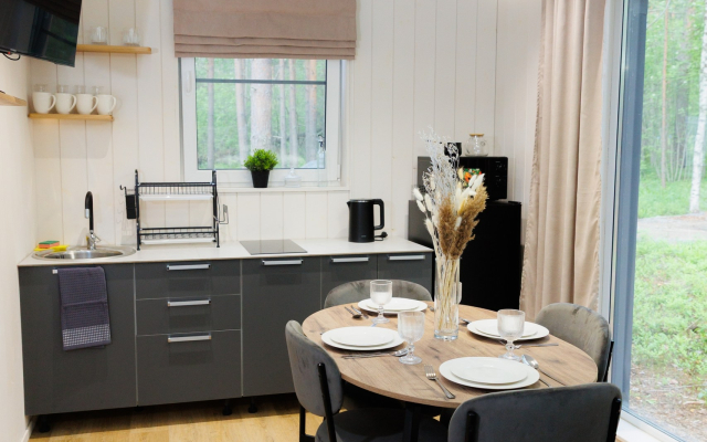 Частный дом Мох 3