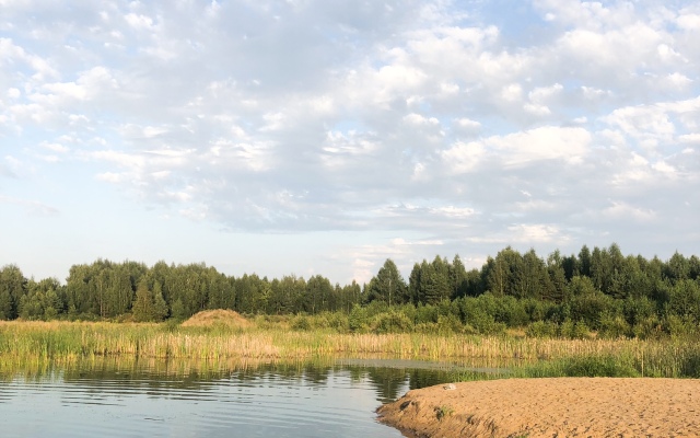 Гостевой дом Дом у леса