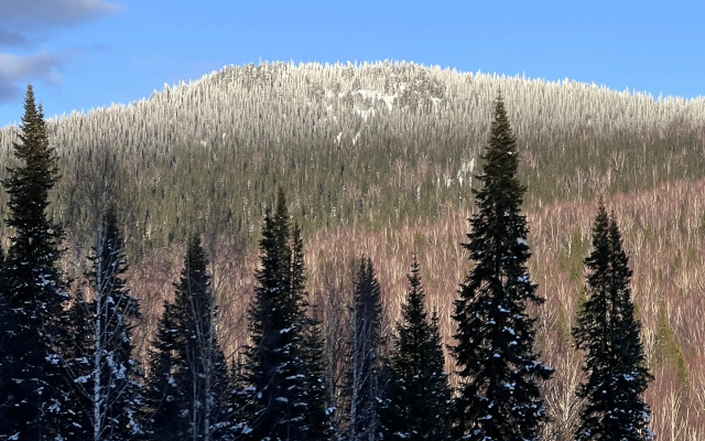 Гостевой дом My home gesh