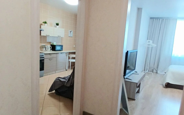 Квартира с видом на центральный стадион