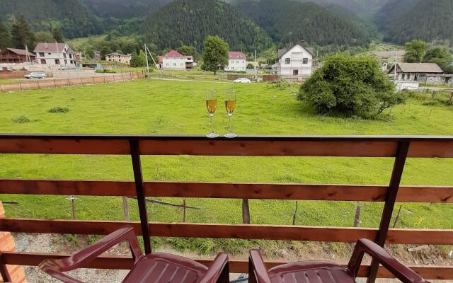 Vila Liza s Transferom k Podemnikam Guest House