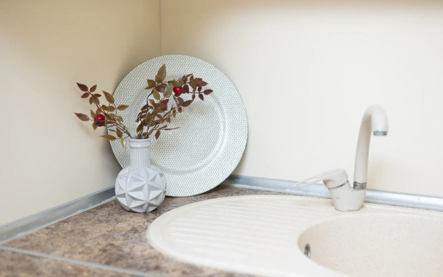 Апартаменты Уютные у Метро Грушевка