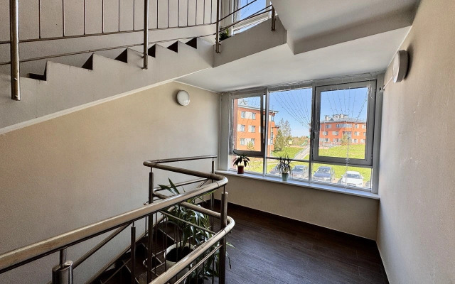 Inroomspb V Mistolovo Flat