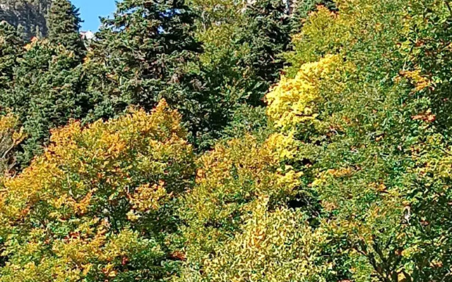 Жилое помещение ЮртХаджох малая - фото 4