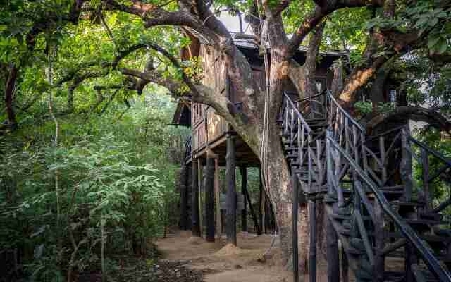 Жилое Помещение Pugdundee Safaris - Tree House Hideway