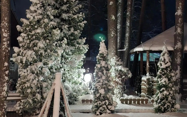 Guest House v Vyazah