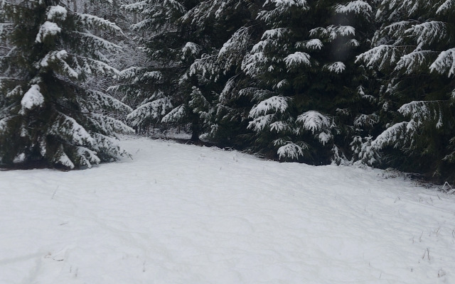 Terem Morozko Guest house