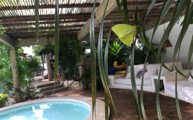 Villa Maria Puerto Escondido Mini-Hotel