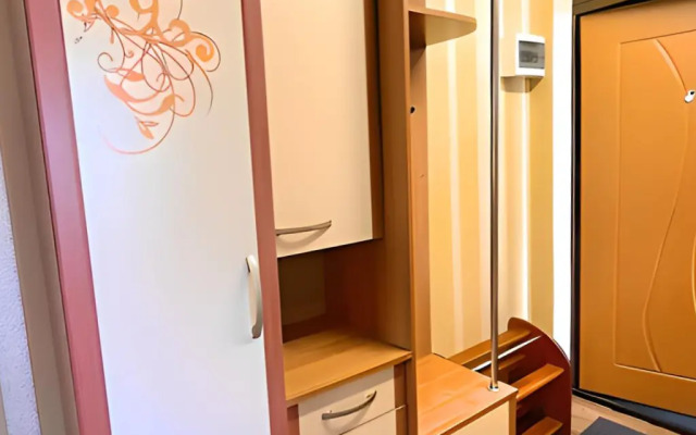 Апартаменты Однокомнатная квартира FANHOUSE