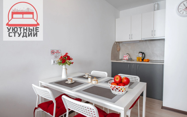 Уютная студия 1 на улице Фастовская