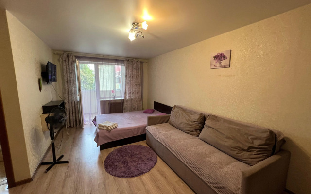Na Prospekte Lenina Flat