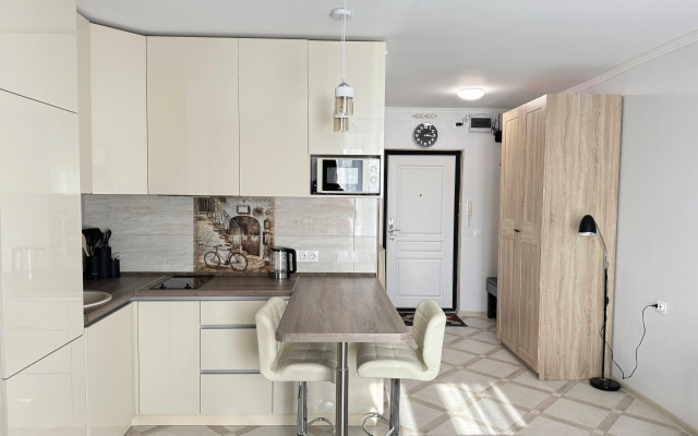 Квартира Студия в Песочном Садовая 90