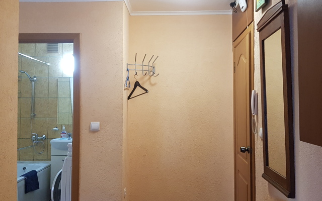 Апартаменты Театральная