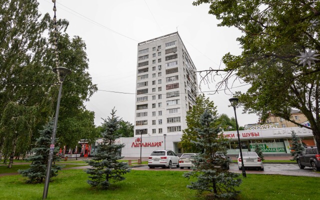 Aloye Pole Flat