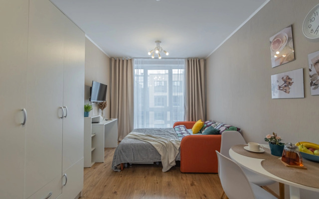 Apartment Standart SalutApart 8