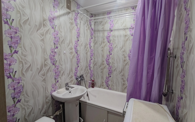 Na Lenina Flat