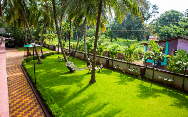 Lazy Frog Goa Guest House