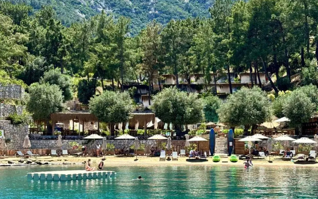 Отель Z-Villas Beach Hotel