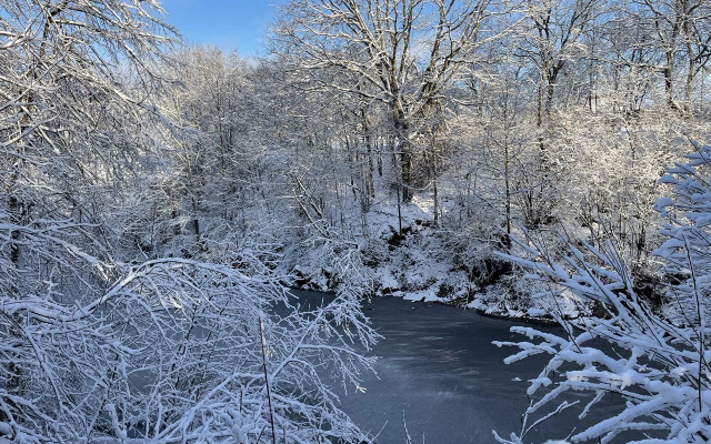 Частный дом Домик у воды