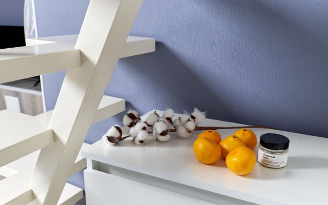 Апартаменты Loft сети VIZIT в Центре