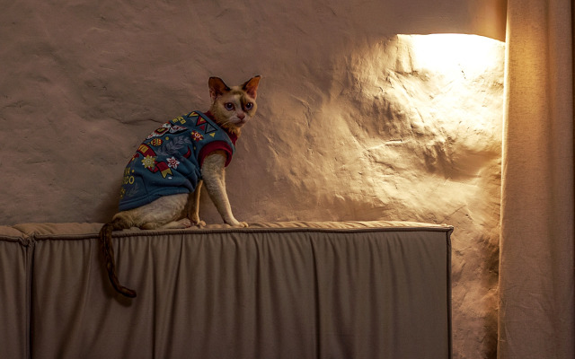 Квартира Cave рядом с Летним садом