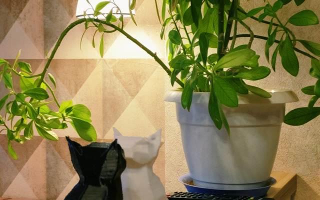 Studiya V Tsentre Voronezha Flat