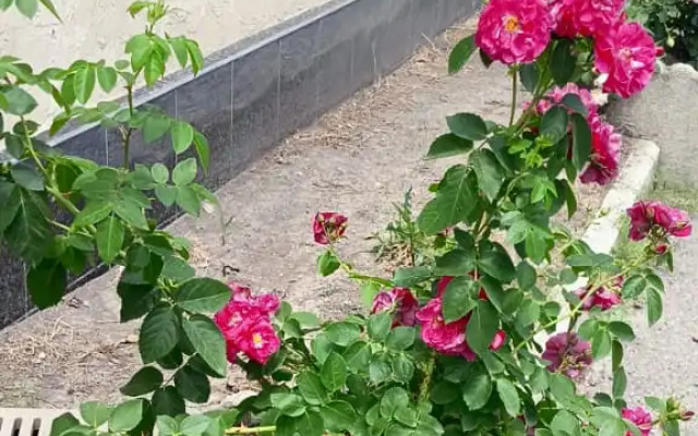 Гостевой Дом на Яснополянской