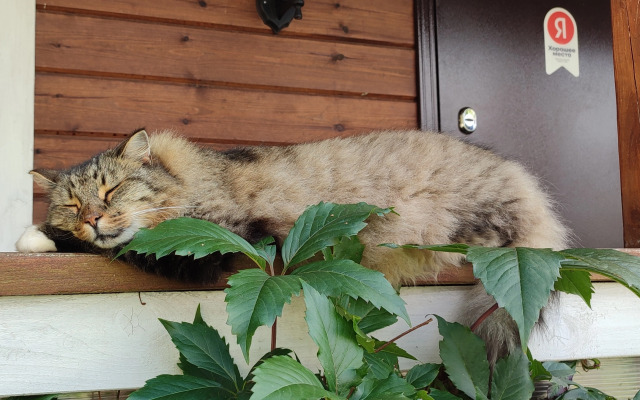 Частный дом Тихий Уголок 2