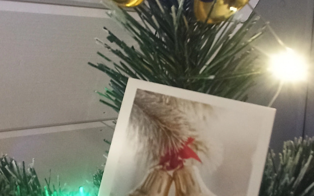 Частный дом Дыхание