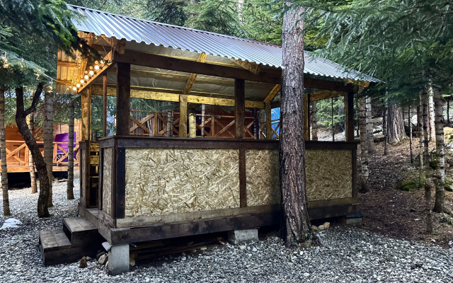 Triumf Guest house